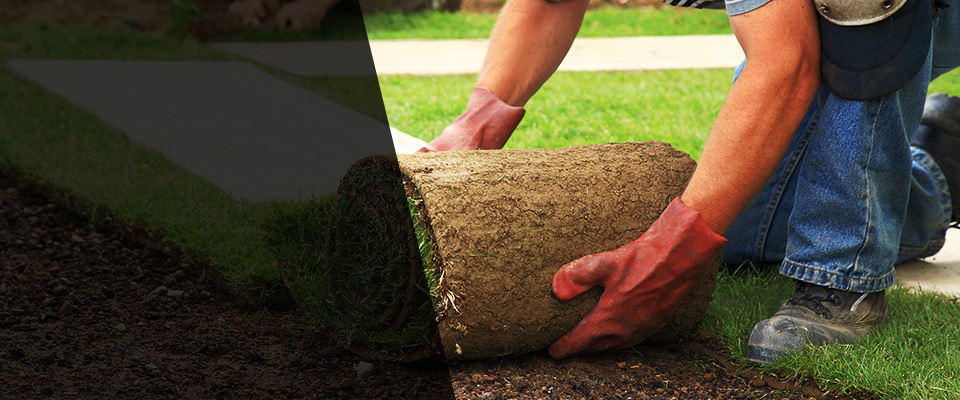 Coralville Landscapers